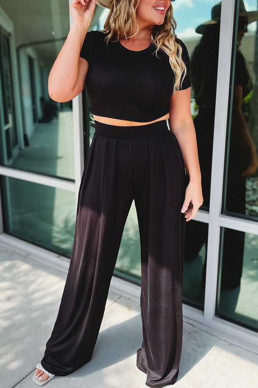 Crop T-Shirt and Pleated Wide Leg Pants Set