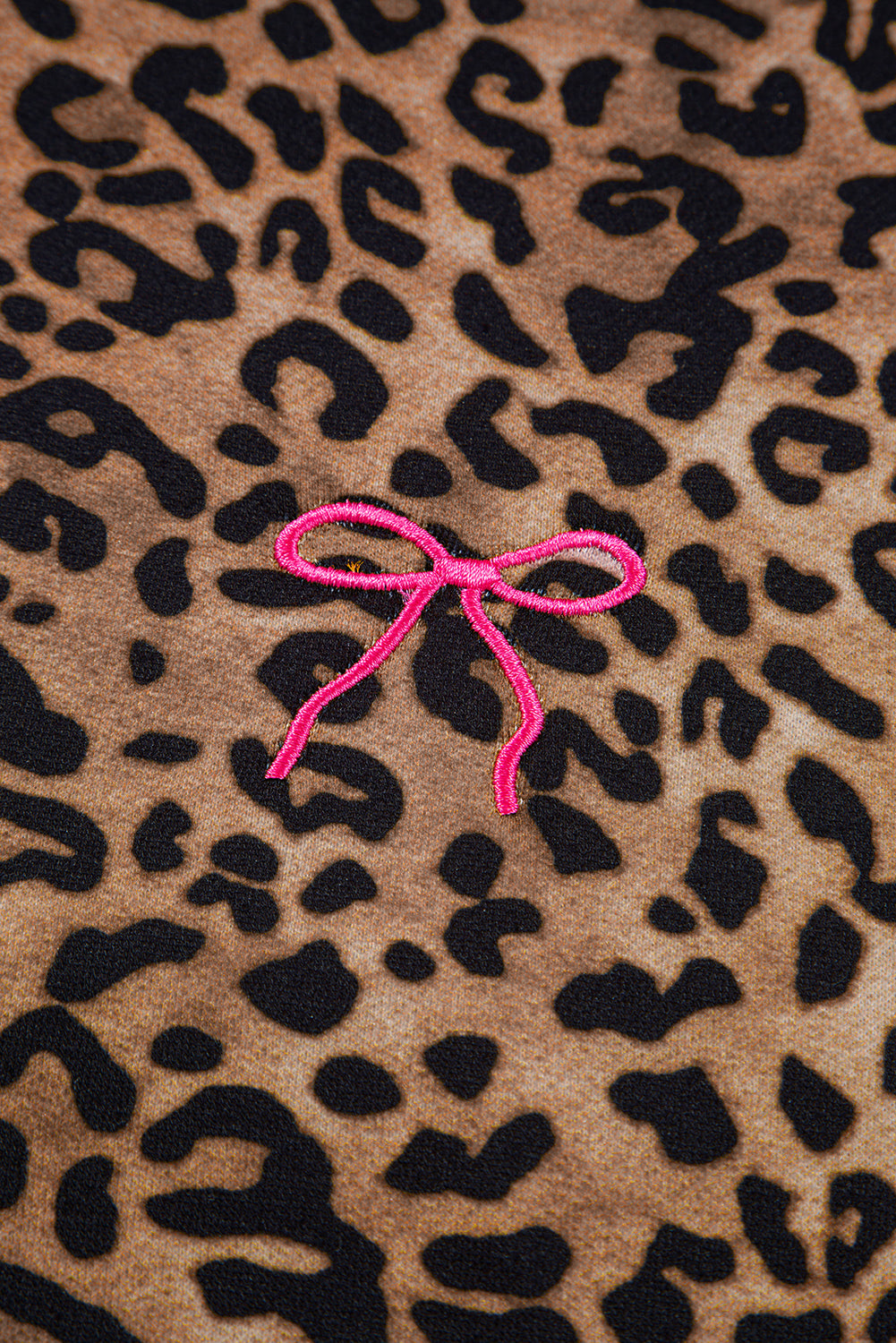 Leopard Print Long Sleeve Top and Pants Set