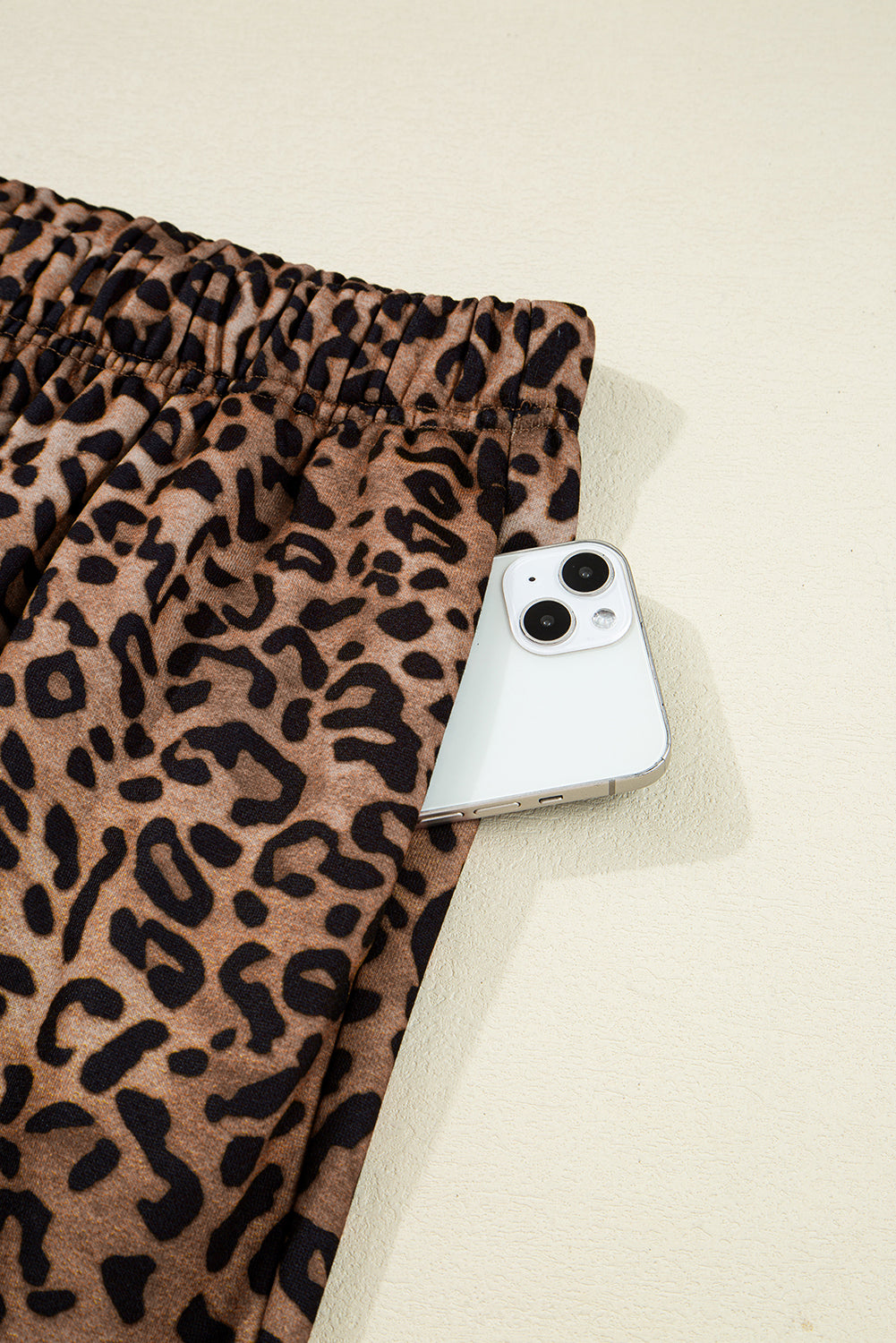 Leopard Print Long Sleeve Top and Pants Set