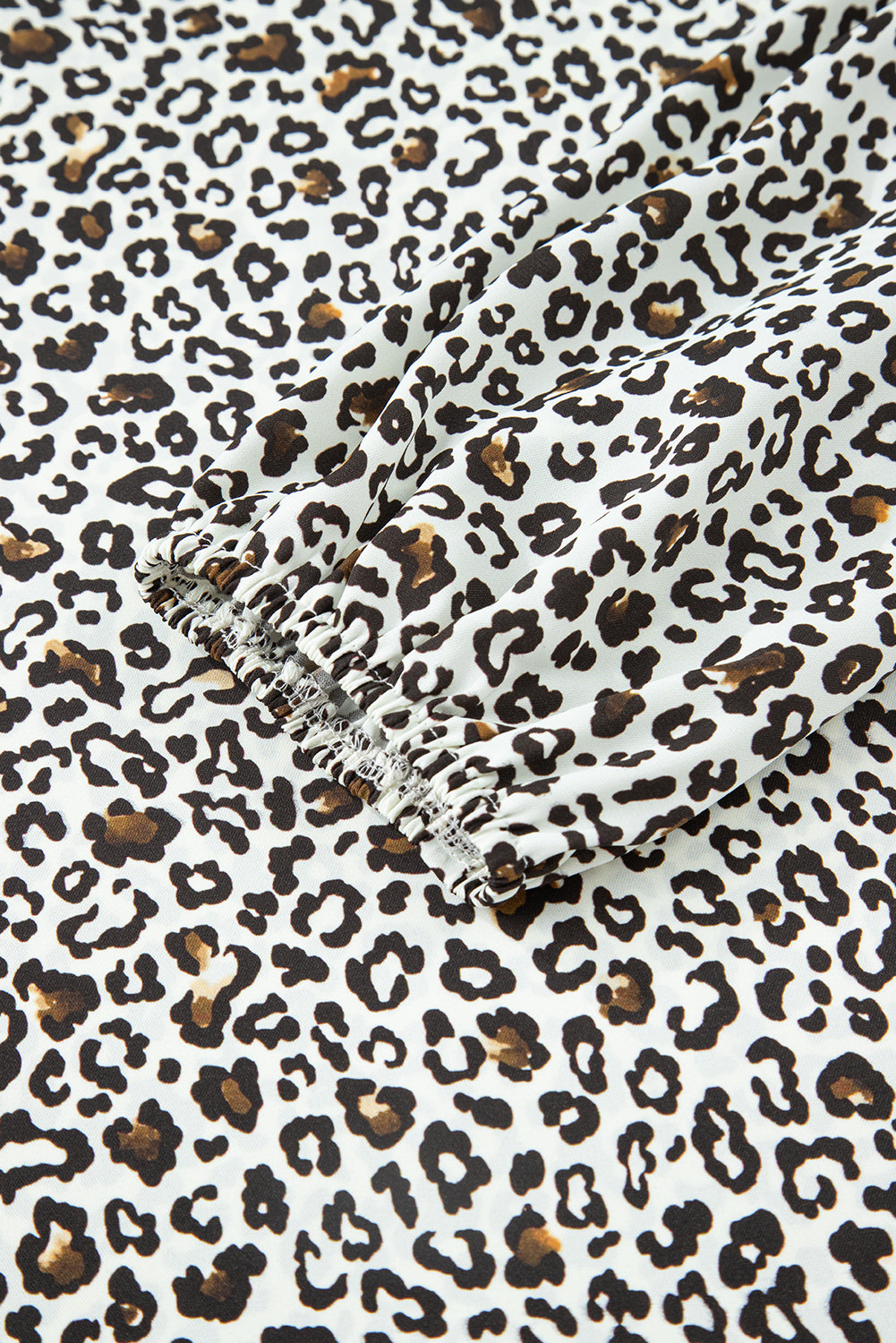 Leopard Print Mini Dress